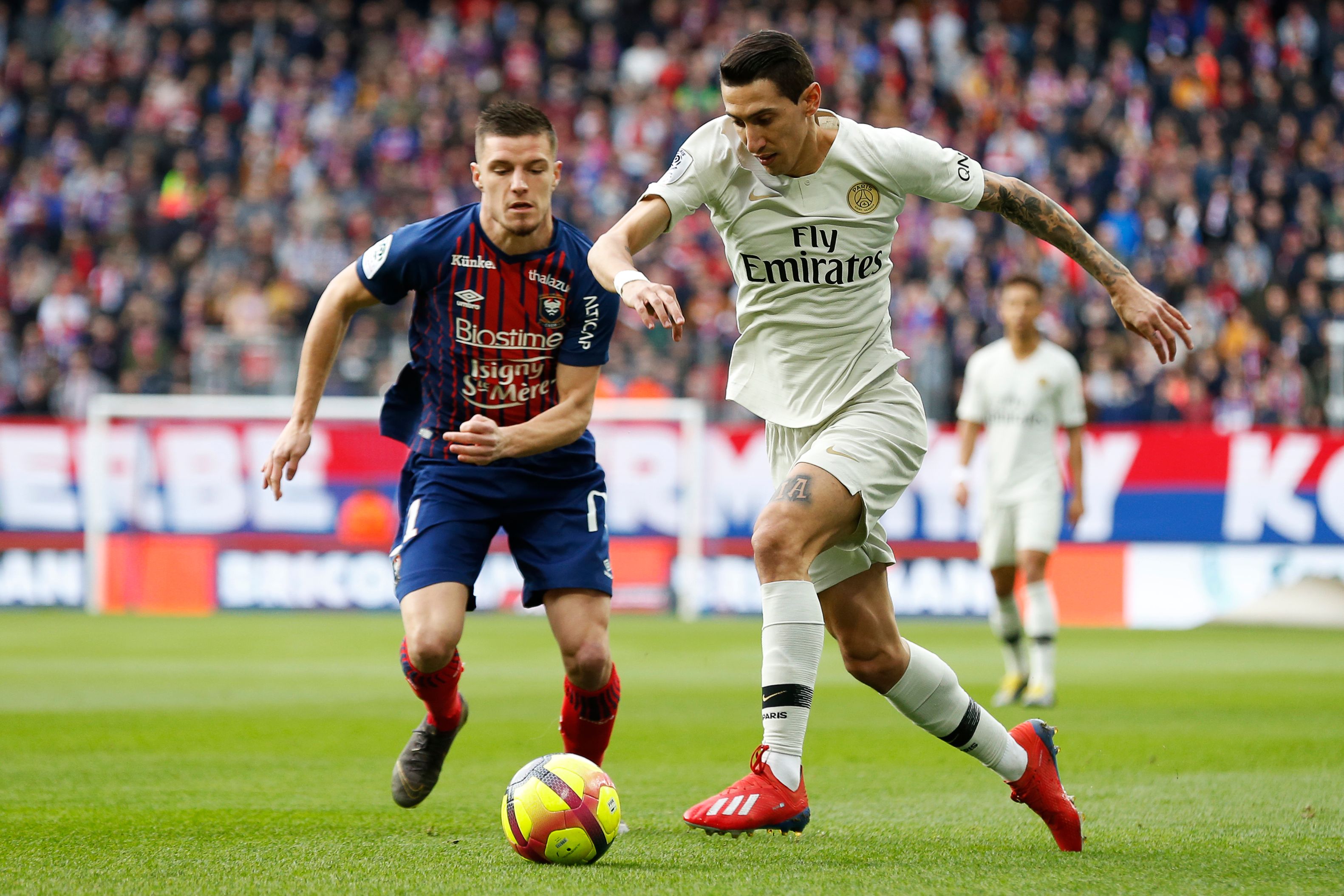 可持续性 可持续性